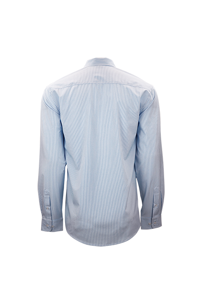 Azure/white (Rear)
