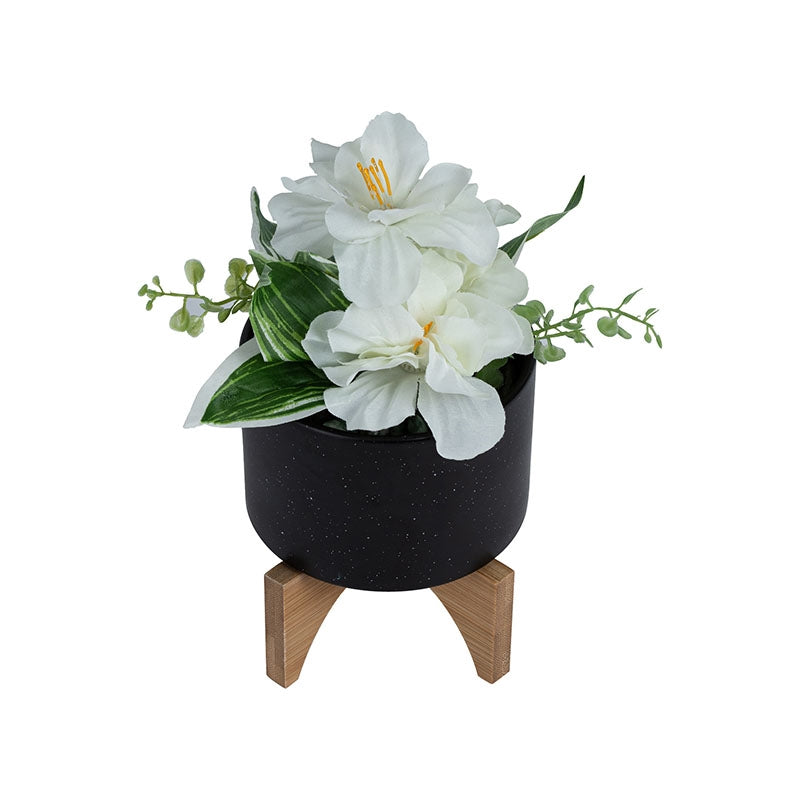 Black (Decorated)