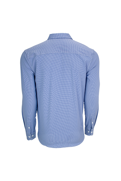 Blue/white (Rear)