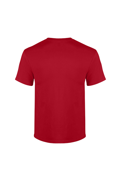 Cherry red (Rear)