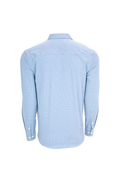 Light blue/white (Rear)