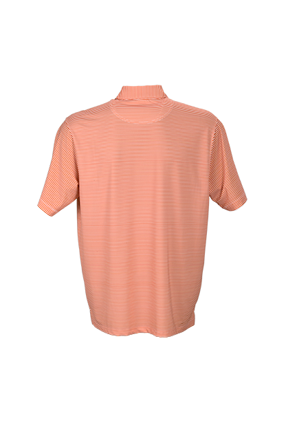Orange with white (Rear)