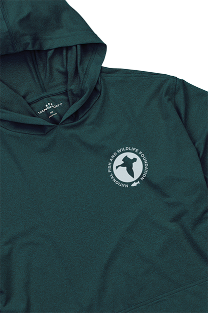 Rainforest ()