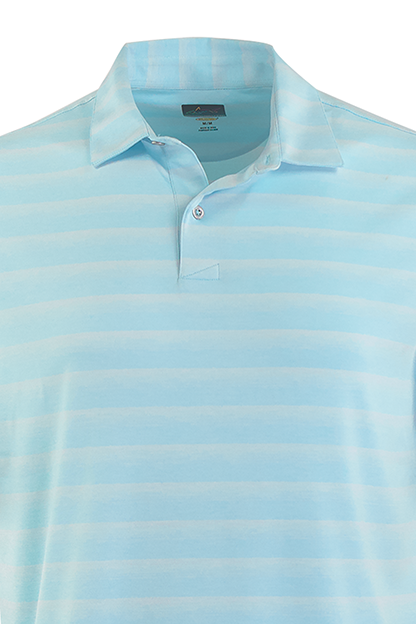 Seaside blue heather ()