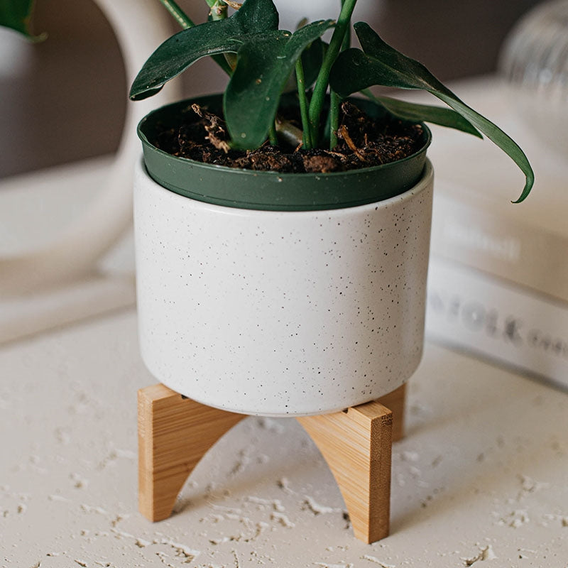 White (Decorated)